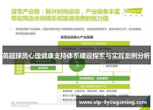 英超球员心理健康支持体系建设探索与实践案例分析