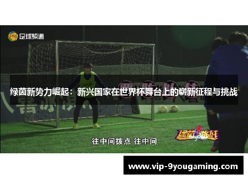 绿茵新势力崛起：新兴国家在世界杯舞台上的崭新征程与挑战