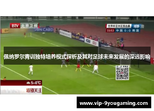 佩纳罗尔青训独特培养模式探析及其对足球未来发展的深远影响