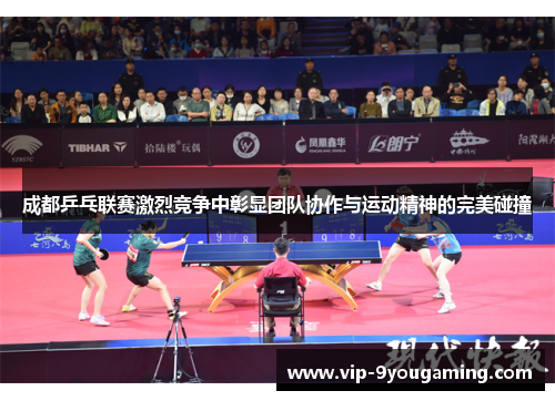 成都乒乓联赛激烈竞争中彰显团队协作与运动精神的完美碰撞