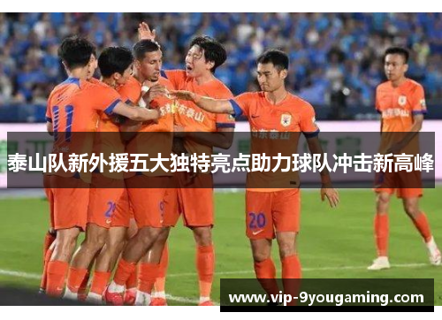 泰山队新外援五大独特亮点助力球队冲击新高峰