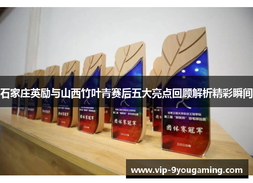 石家庄英励与山西竹叶青赛后五大亮点回顾解析精彩瞬间