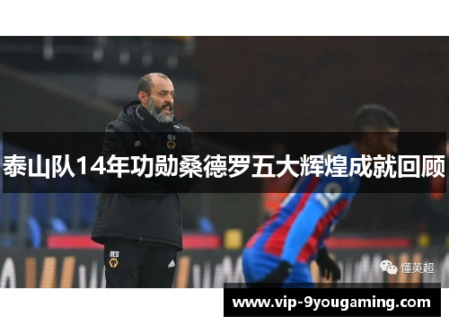 泰山队14年功勋桑德罗五大辉煌成就回顾