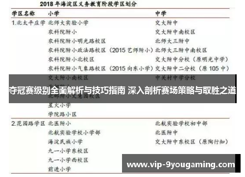 夺冠赛级别全面解析与技巧指南 深入剖析赛场策略与取胜之道