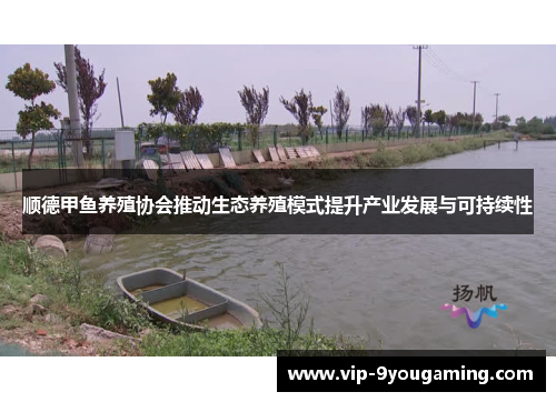 顺德甲鱼养殖协会推动生态养殖模式提升产业发展与可持续性