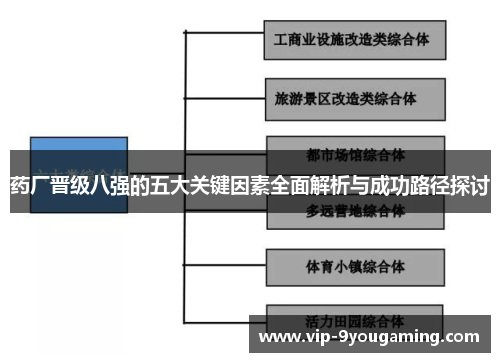 药厂晋级八强的五大关键因素全面解析与成功路径探讨