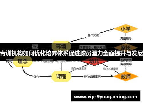 青训机构如何优化培养体系促进球员潜力全面提升与发展