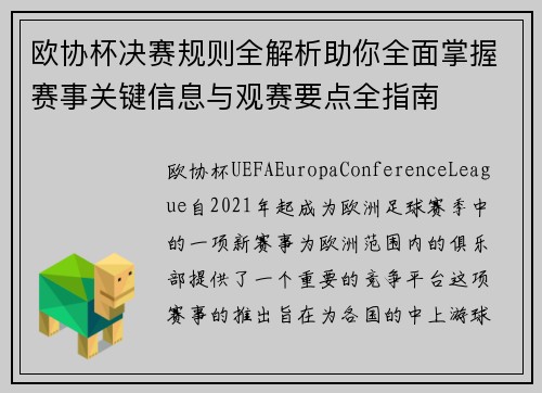 欧协杯决赛规则全解析助你全面掌握赛事关键信息与观赛要点全指南